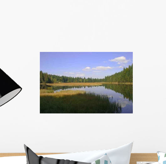 Small Arbersee 1 Wall Decal