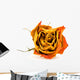 Nahaufnahme Einer Getrocknete Rote Rose Wall Decal