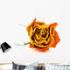 Nahaufnahme Einer Getrocknete Rote Rose Wall Decal