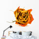 Nahaufnahme Einer Getrocknete Rote Rose Wall Decal