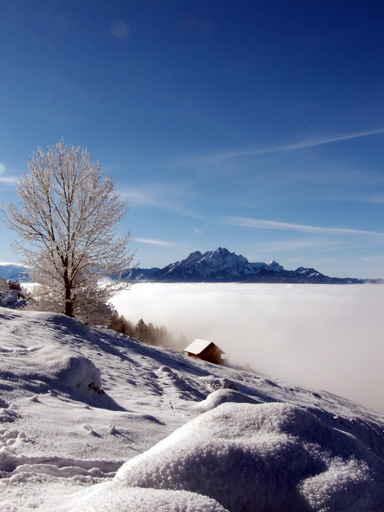 Winter Wall Decal Design 1