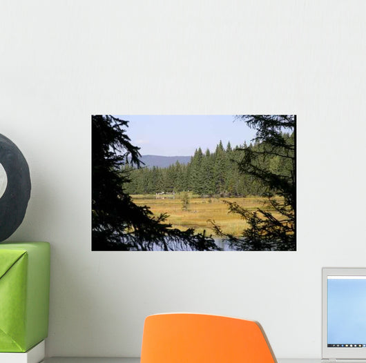 Small Arber Lake 4 Wall Decal