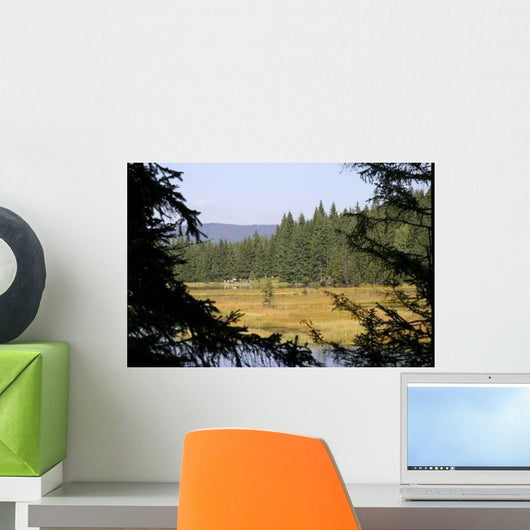 Small Arber Lake 4 Wall Decal
