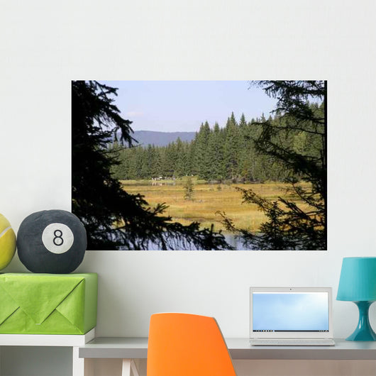 Small Arber Lake 4 Wall Decal