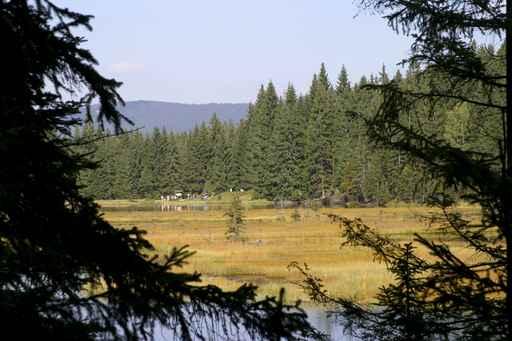 Small Arber Lake 4 Wall Decal