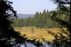 Small Arber Lake 4 Wall Decal