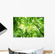 Forest Wall Mural