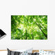 Forest Wall Mural