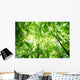 Forest Wall Mural