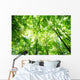 Forest Wall Mural