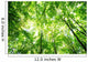 Forest Wall Mural