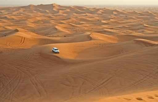 Desert Wall Decal Design 4