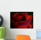 Red Rose on a Black Background Wall Mural
