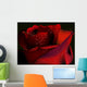 Red Rose on a Black Background Wall Mural