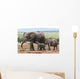 Elephant Baby and Mother Wall Mural