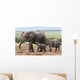 Elephant Baby and Mother Wall Mural