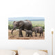 Elephant Baby and Mother Wall Mural