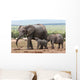 Elephant Baby and Mother Wall Mural