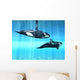 Orcas Wall Mural