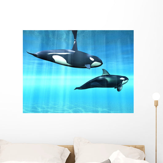 Orcas Wall Mural