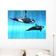 Orcas Wall Mural
