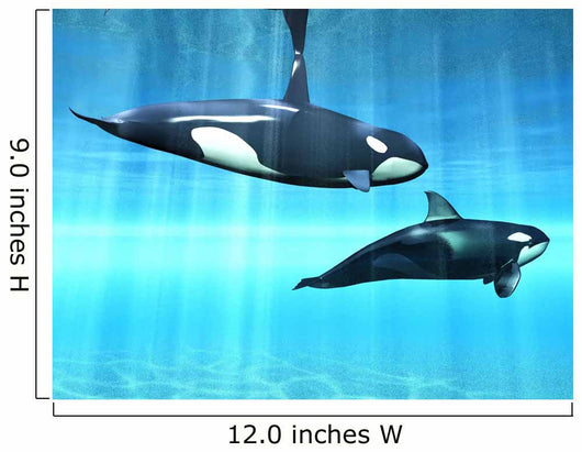 Orcas Wall Mural