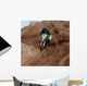 Motocross 2 Wall Mural