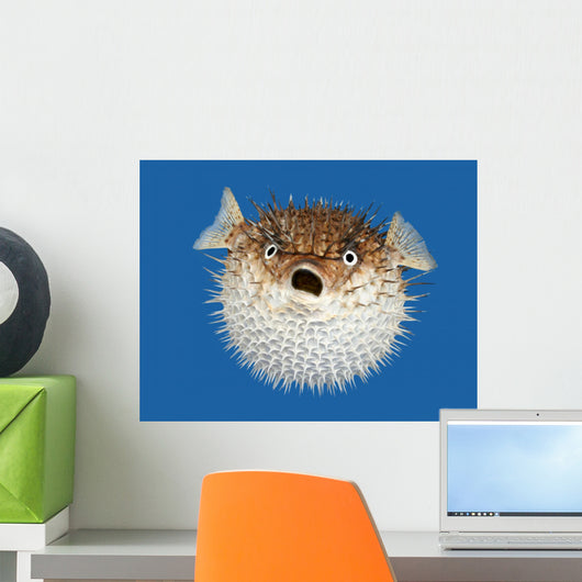 Blow Fish Frontal View Wall Mural