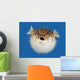 Blow Fish Frontal View Wall Mural