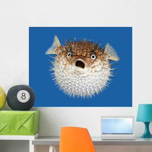 Blow Fish Frontal View Wall Mural