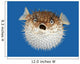 Blow Fish Frontal View Wall Mural