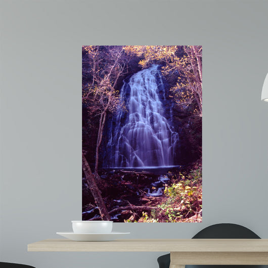 Crabtree Falls Wall Mural