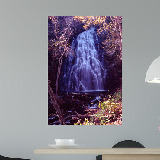 Crabtree Falls Wall Mural