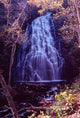 Crabtree Falls Wall Mural