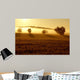 Golden Light Wall Mural