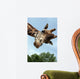 Giraffa Wall Mural