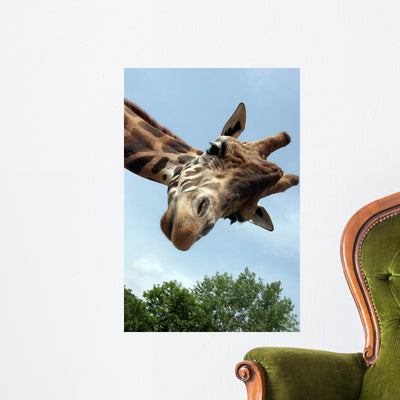 Giraffa Wall Mural shown on a wall