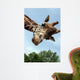 Giraffa Wall Mural