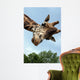 Giraffa Wall Mural