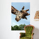 Giraffa Wall Mural