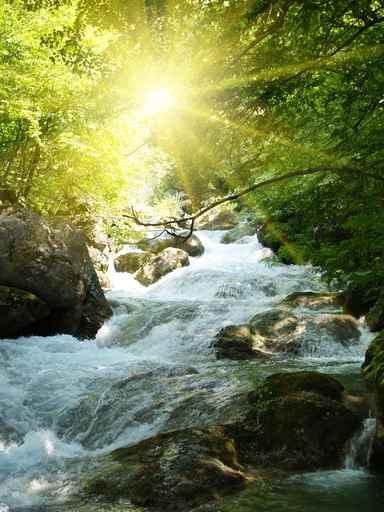 Mountain River Wall Decal