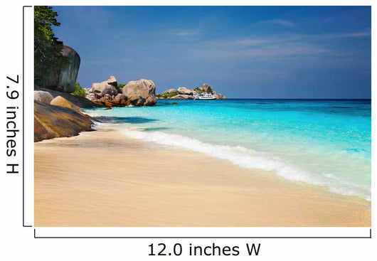 Tropical Beach Wall Mural