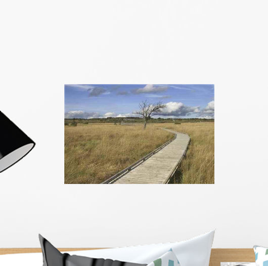 Boardwalk High Fens Wall Decal