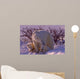 Polar bears in Canadian Arctic Wall Mural