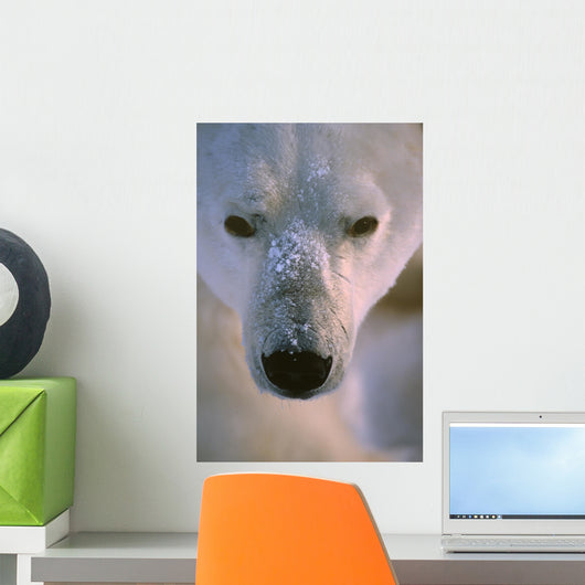 Polar Bear Wall Mural
