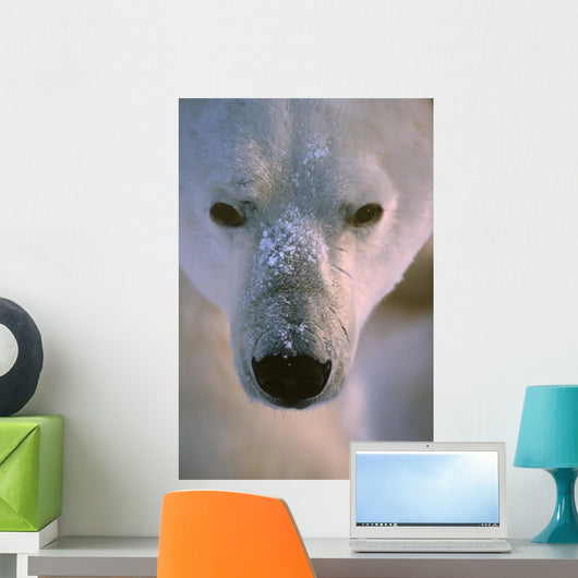 Polar Bear Wall Mural