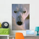 Polar Bear Wall Mural