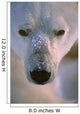 Polar Bear Wall Mural