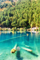 Fantastic azure water of lake with submerged tree trunks Wall Mural