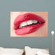 Lips Wall Mural